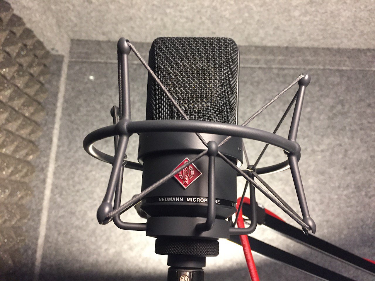 Neumann TLM 103 Microphone