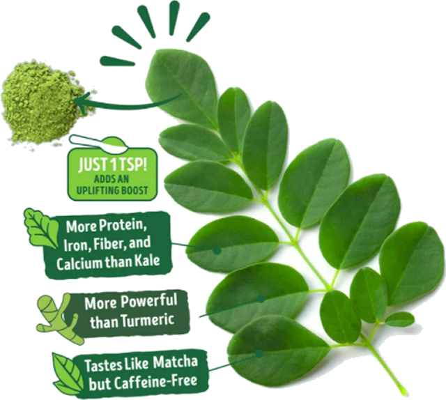 description of the nutritional benefits of moringa in comparison to kale, turmeric, and matcha